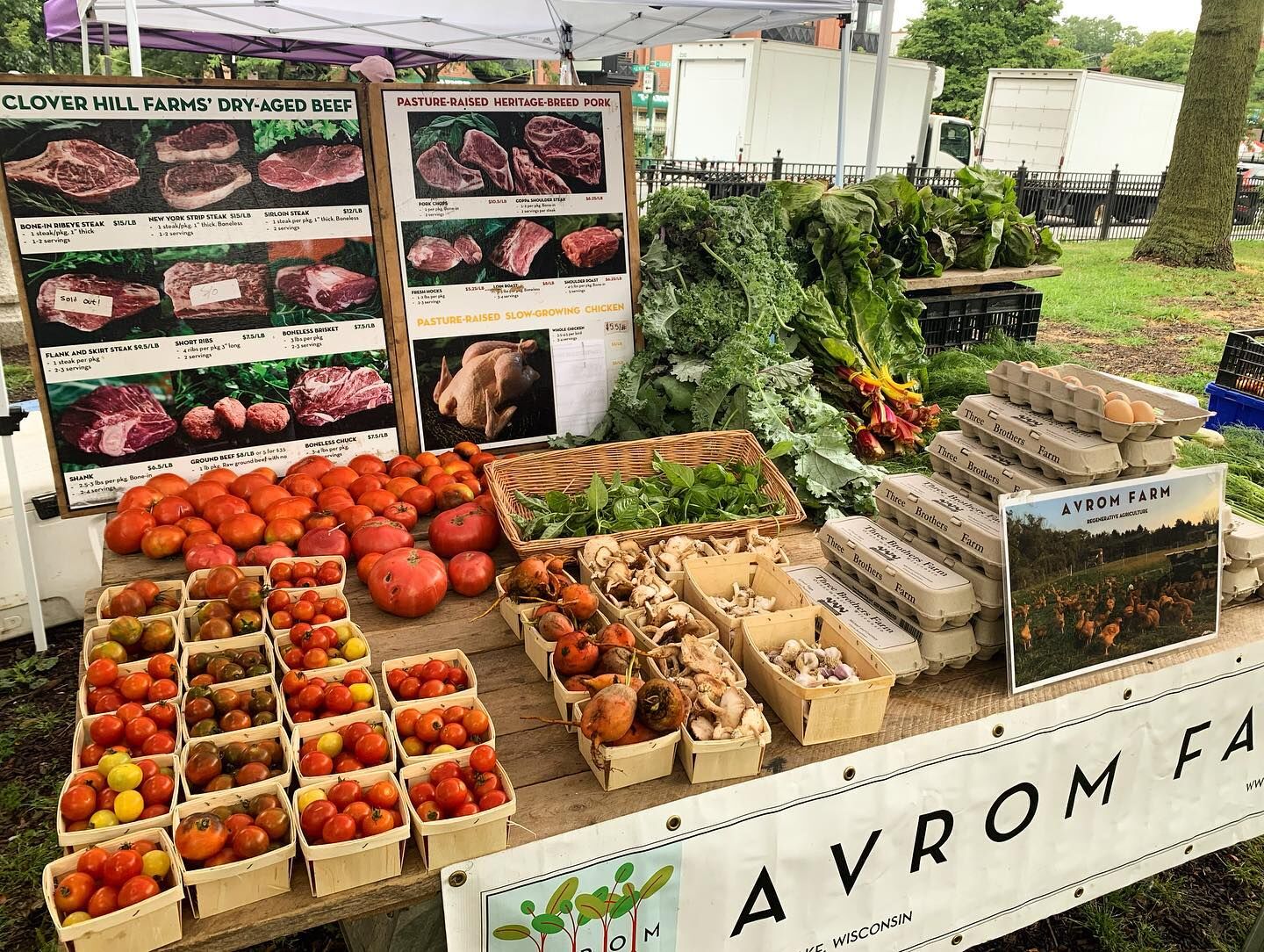 Avrom Farm-2